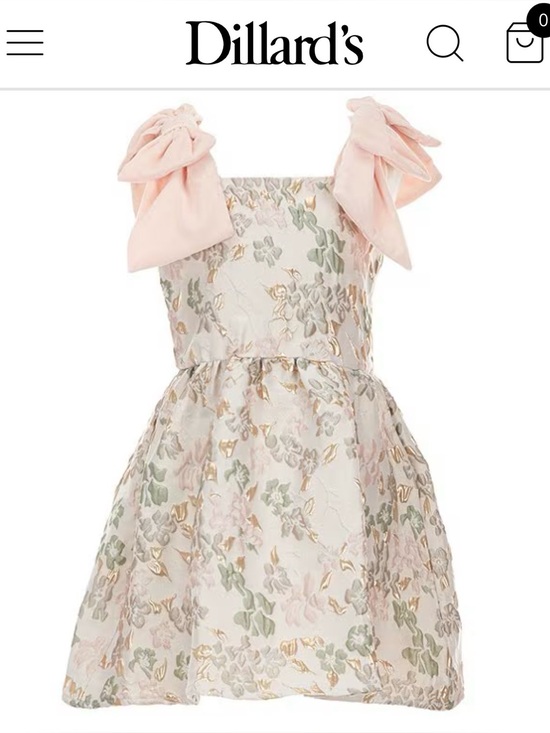 Gianni Bini Other - GB Little Girls Baroque Floral Bow Strap  Dress - size 4T with Pale Pink velvet